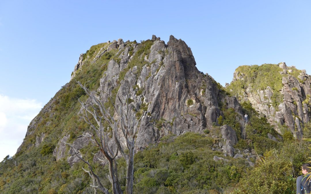 尖峰步道攻略