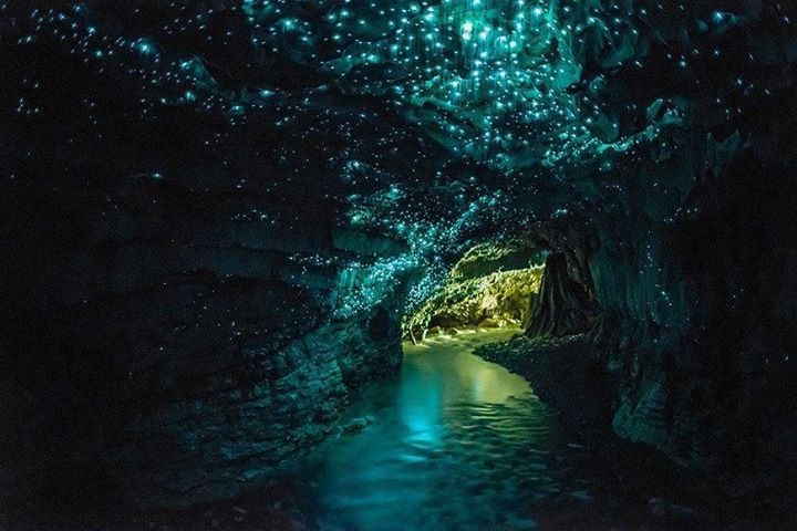懷托摩螢火蟲洞旅遊公司獲得400萬紐元政府資助