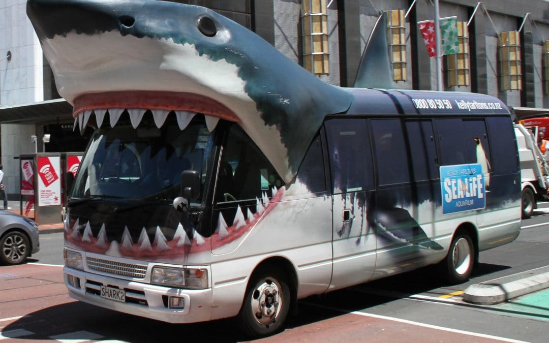 水族館著名「鯊魚巴士」以超出低價3倍拍出