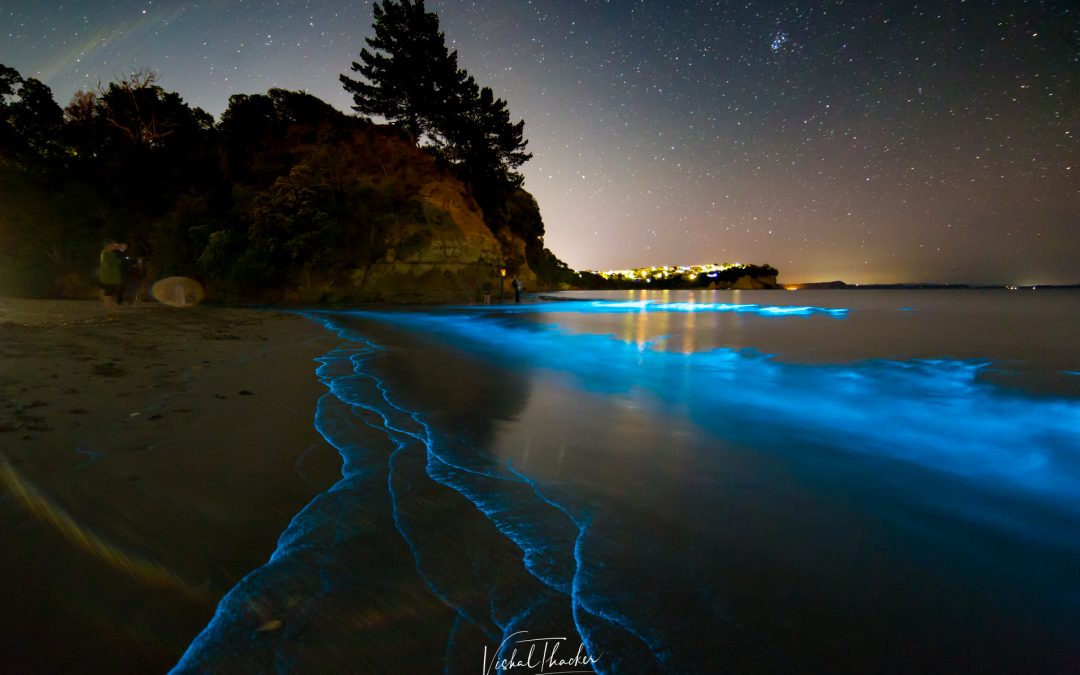 奧克蘭北部海灘近期惊現奇幻的發光海景