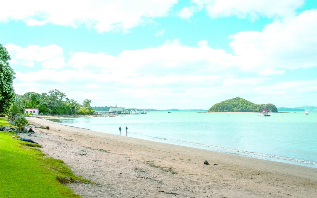 碧海銀灘 與海豚共舞 海邊小鎮Paihia