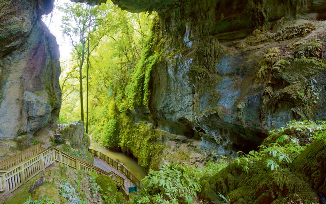不加雕飾 渾然天成 数百万年前遗留的地质奇观 天然石橋 （Mangapohue Natural Bridge）