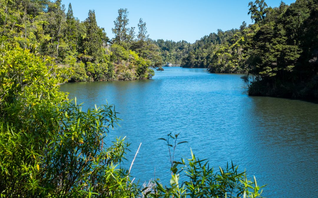 當天來回的森林公園 懷塔克雷山脈地區公園 Waitakere Ranges Regional Park