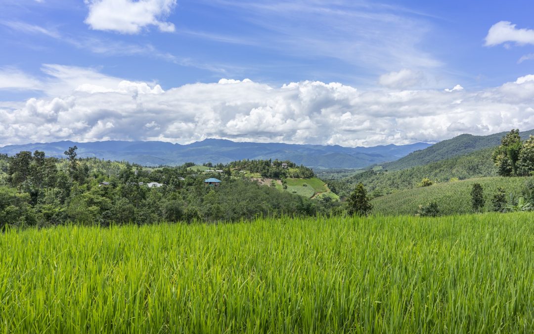 “住得起”的房 大多数买家忽视的這塊奥克兰宝地