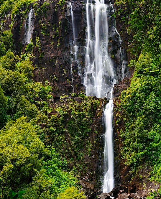 153m 北島落差最大的瀑布 登頂懷裡裡瀑布（Wairere falls） 看遼闊的懷卡托平原