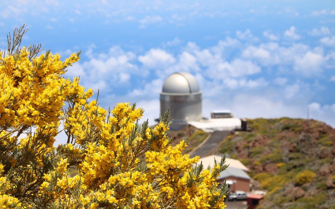 馬爾堡首個公共天文臺將於這個毛利新年假期開放