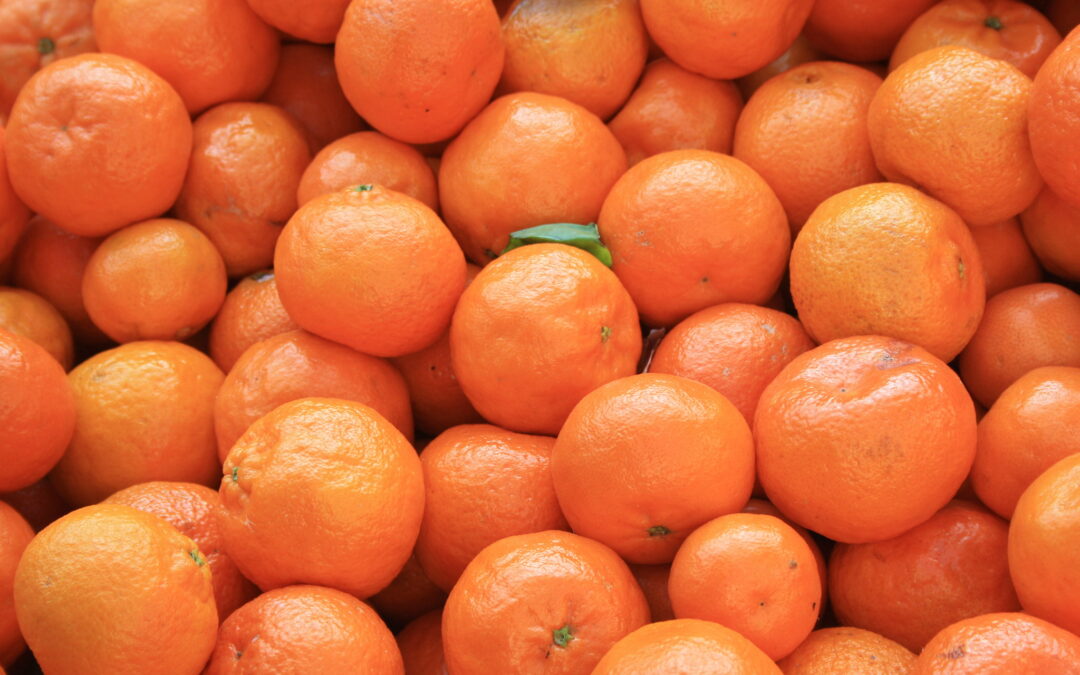 T&G Fresh公司推出新柑橘品種 色濃郁香