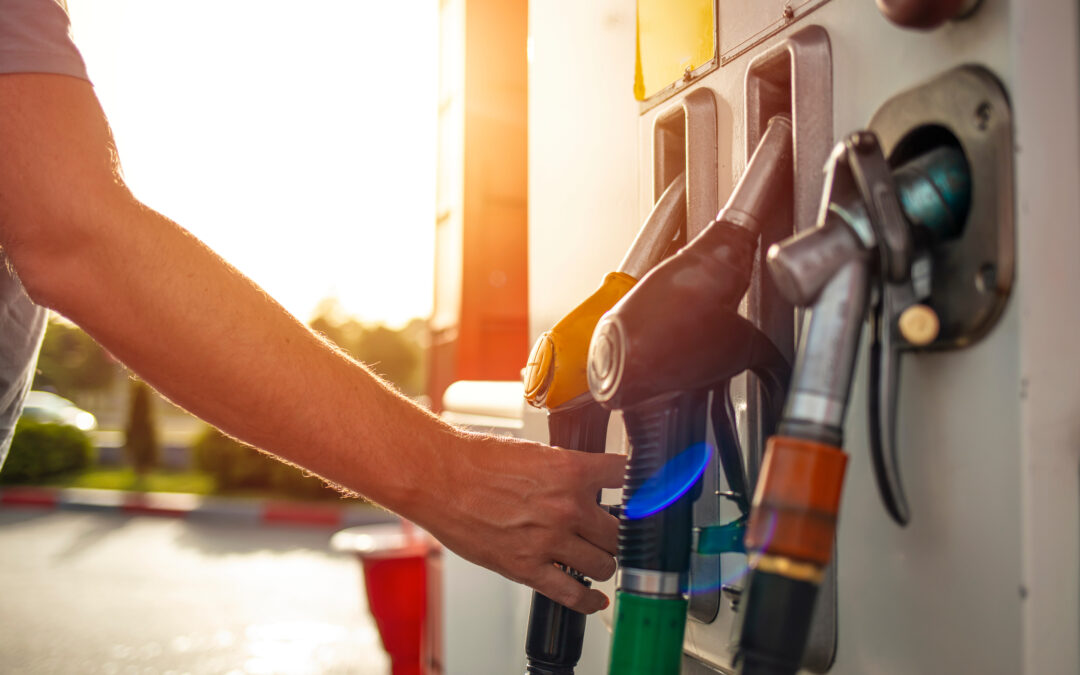 燃油稅減免和公共交通半價優惠期再延長