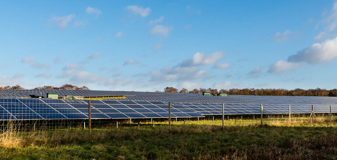 太陽能發電場Skysolar 倒閉 債權人索要1200萬紐幣賠償