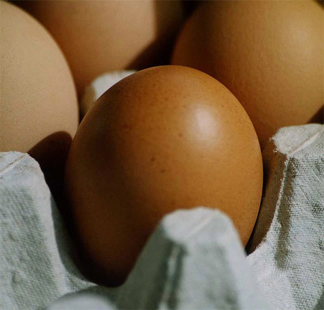 預計在新的一年 蛋類供應可保障