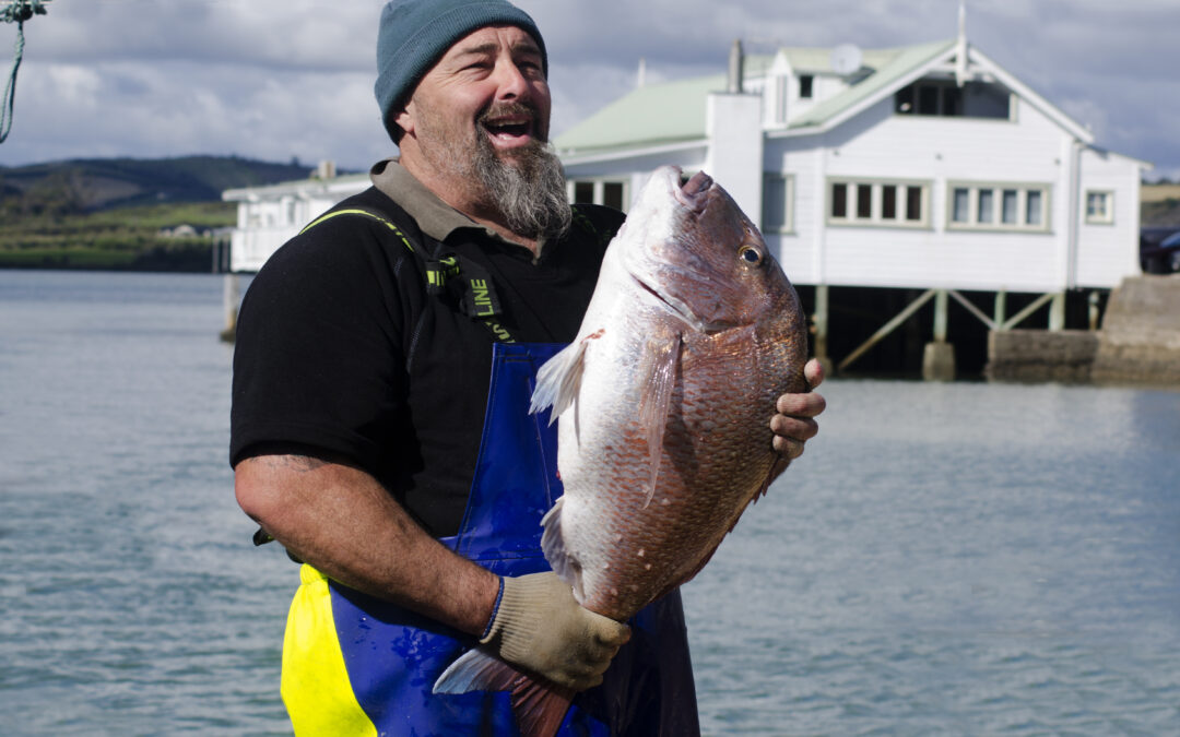 新西兰政府放寬了部分商业渔业的捕捞限额